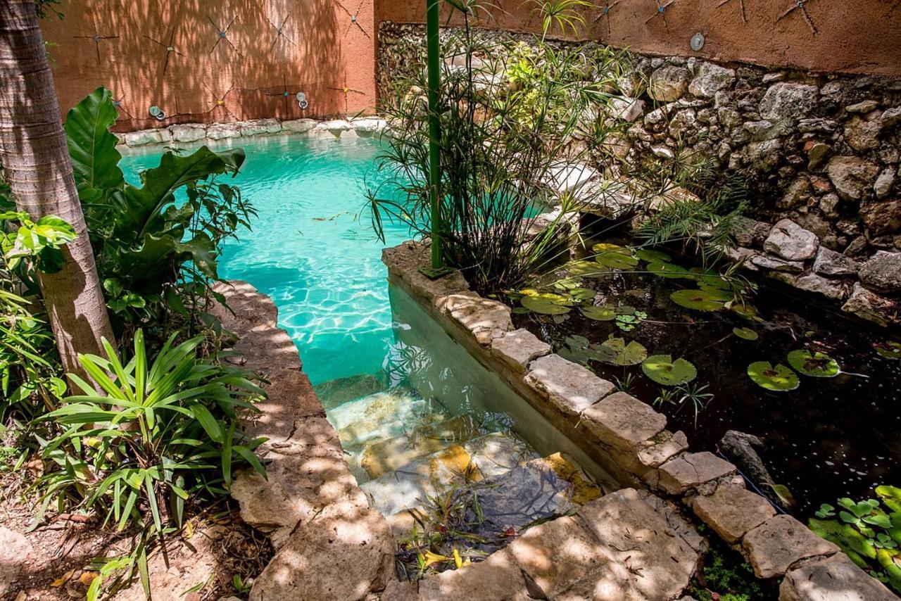 Majikal B&B - La Selva Merida Luaran gambar