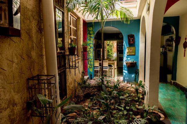 Majikal B&B - La Selva Merida Luaran gambar