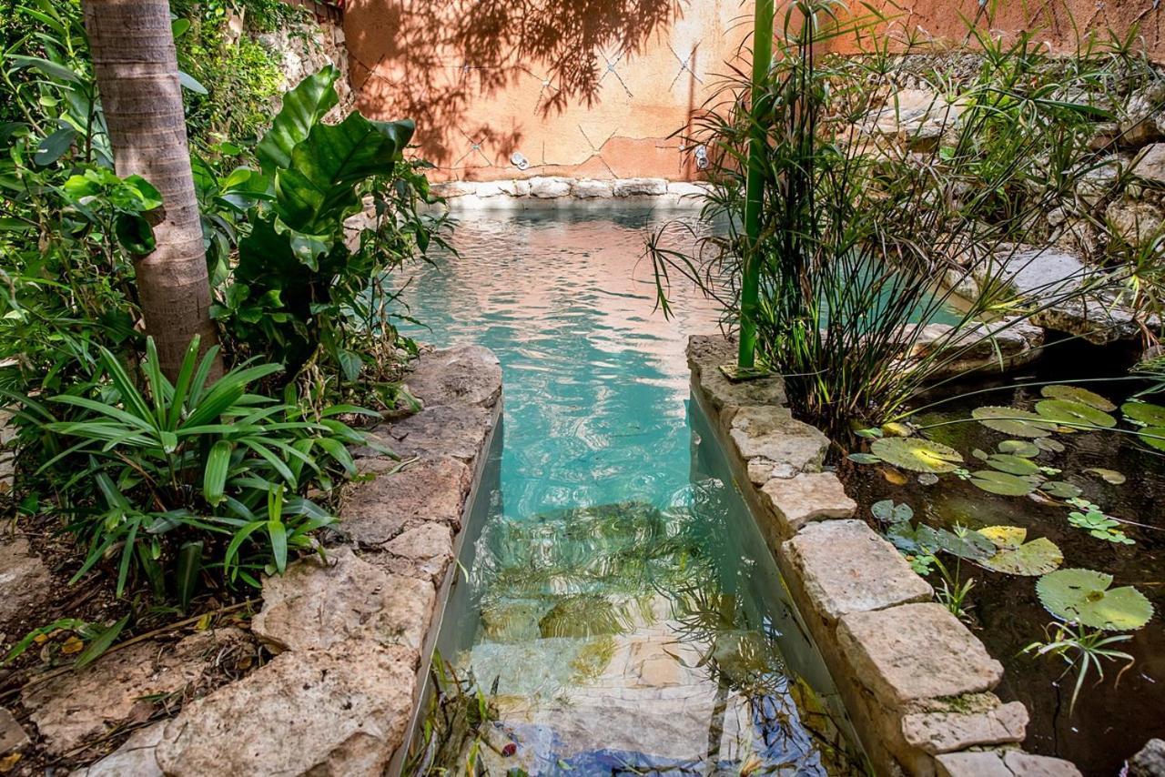 Majikal B&B - La Selva Merida Luaran gambar