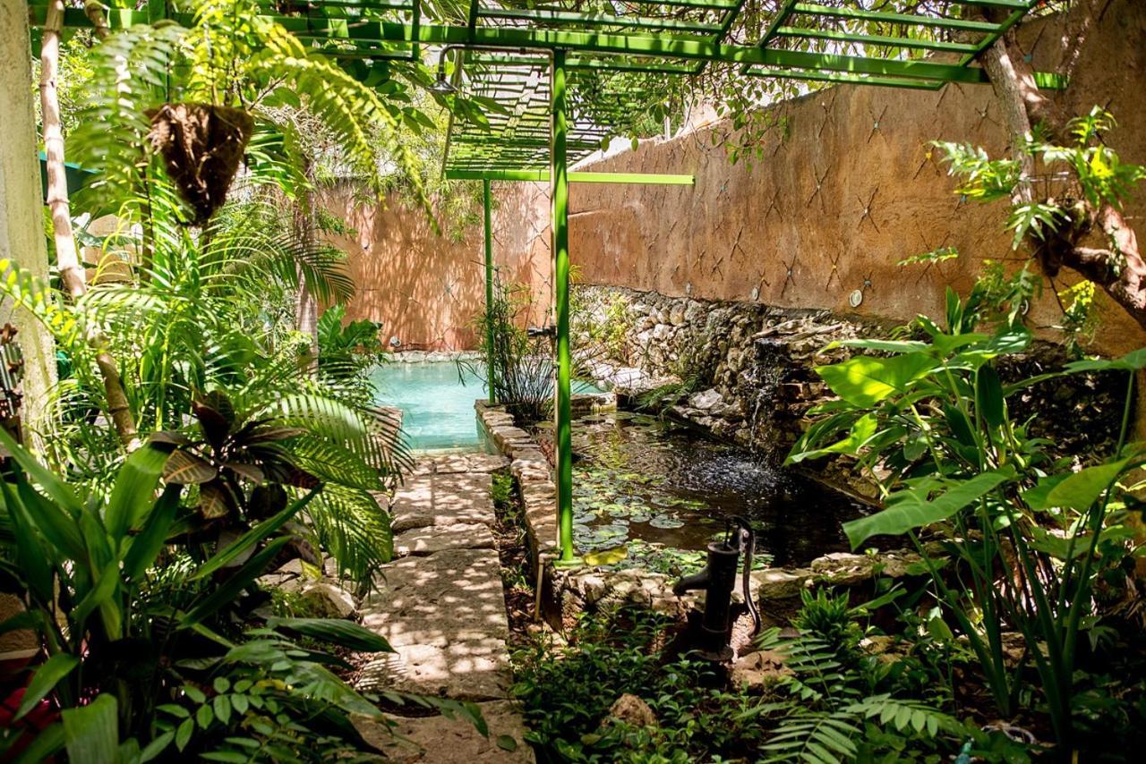 Majikal B&B - La Selva Merida Luaran gambar