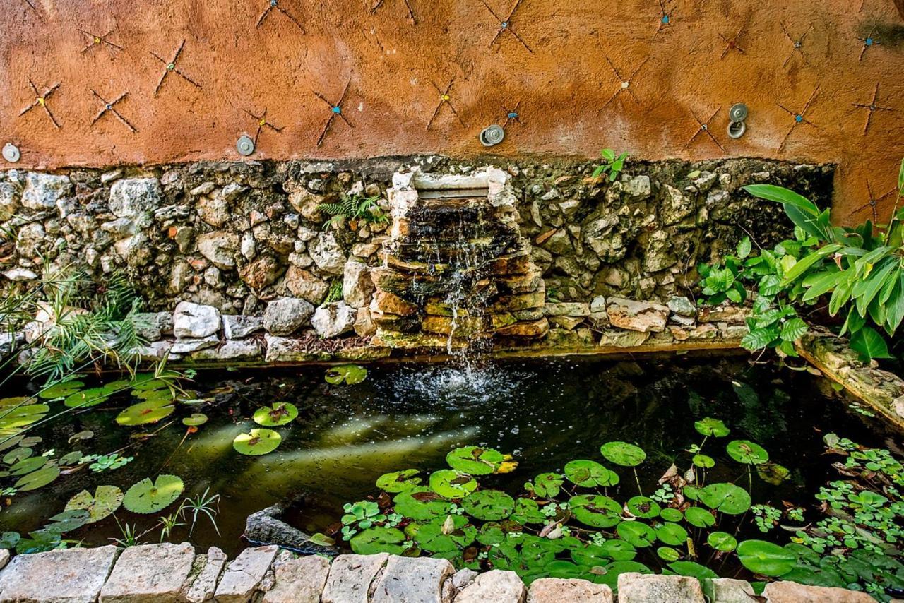 Majikal B&B - La Selva Merida Luaran gambar